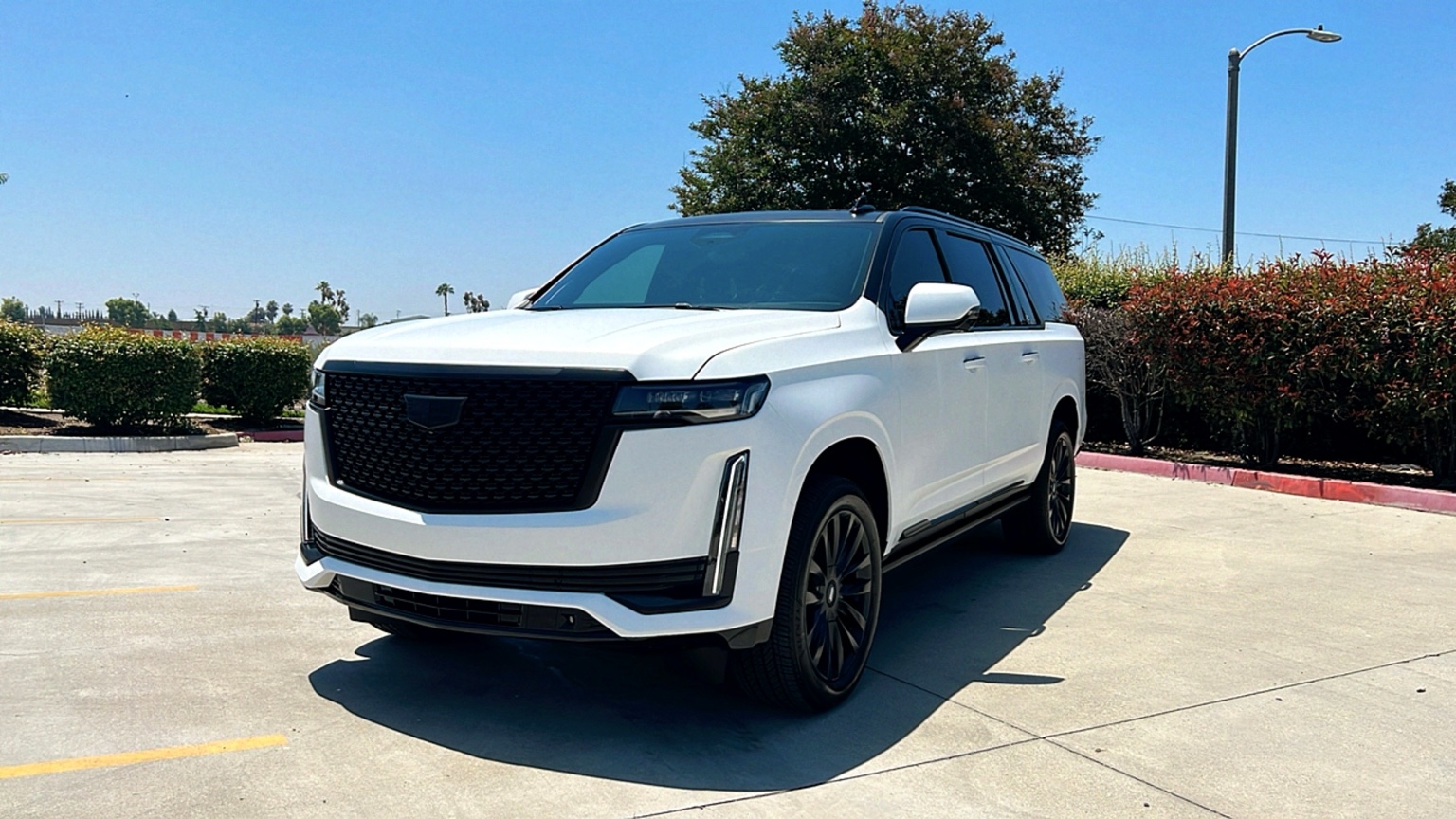 Cadillac Escalade — Ronin Automotive photo